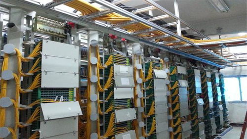 適合男生的四大專業(yè),找工作不發(fā)愁,而且進(jìn)國(guó)企和公職單位機(jī)會(huì)多